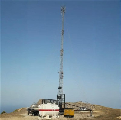 車輪の100フィートのセル（牛）